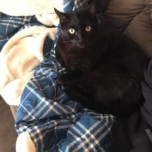 Meet your Posher, Kay